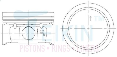 67106STD Поршні стандарт (STD) (к-кт на двигун) Peugeot TU5JP4 TEIKIN підбір по vin на Brocar