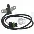 Датчик оборотов двигателя R19,21,Super S,Rapid,Volvo 340-360 SS10756-12B1