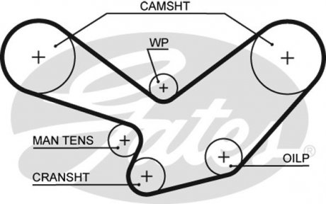 5096 Ремень ГРМ GATES подбор по vin на Brocar