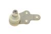 10FR1781 Кульова опора (шарнір) (передня/знизу/R) Ford Kuga I 2.0TDCi/2.5 08- ASMETAL підбір по vin на Brocar