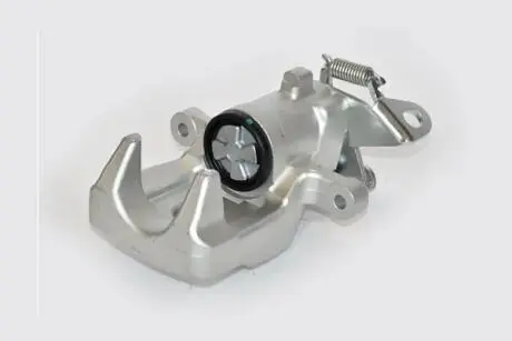 76497 Супорт задній лівий Renault Clio IV, Fluence, Grand Scenic III, Megane (02-09) ASAM підбір по vin на Brocar