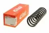 Пружина (передня) MB E-class (W210/S210) 95-04/C-class (W202/S202) 93-00 (Classic/Elegance) R10023