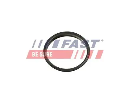 FT49853 Прокладка вакуумного насоса Fiat Ducato/ Peugeot Boxer/Ford Transit 2.2HDi/TDCi 06- FAST подбор по vin на Brocar
