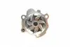 PA10267 Помпа води Seat Cordoba/Ibiza/Skoda Fabia/VW Polo V 1.9SDI 99-09 (R/B) (7 лоп) BUGATTI підбір по vin на Brocar