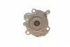 PA10267 Помпа води Seat Cordoba/Ibiza/Skoda Fabia/VW Polo V 1.9SDI 99-09 (R/B) (7 лоп) BUGATTI підбір по vin на Brocar