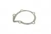 PA10273 Помпа воды Citroen Berlingo/Xsara/Peugeot Partner/306/309/405/406 1.6/1.8/1.9 87-02(20z)(B/B)(6 лоп) BUGATTI підбір по vin на Brocar