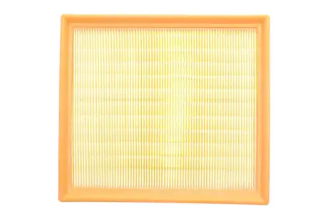 AF1939 Повітряний фільтр F30,F20 11- ALPHA FILTER підбір по vin на Brocar