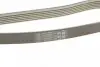 6PK2160S Ремінь генератора BMW 5 (E60) 2.5/3.0D 04-10 (M57) DAYCO підбір по vin на Brocar
