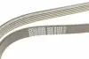 6PK2160S Ремінь генератора BMW 5 (E60) 2.5/3.0D 04-10 (M57) DAYCO підбір по vin на Brocar