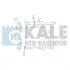 HYUNDAI Радиатор охлаждения i10 1.1/1.1CRDi 08- 358300