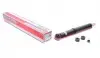 Амортизатор (задний) Toyota Land Cruiser 100 4.2/4.7 98-07 (R) E4109
