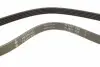 FB5PK853 Ремень генератора Citroen Berlingo/Honda Civic/Mazda 323/626 INA підбір по vin на Brocar
