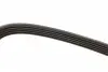 FB5PK853 Ремень генератора Citroen Berlingo/Honda Civic/Mazda 323/626 INA підбір по vin на Brocar
