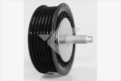 T0533 Ролик приводного ременя 1,6 16V, 1,5dci Renault Kangoo II, Megane II, Captur (T0533) Hutchinson HUTCHINSON підбір по vin на Brocar