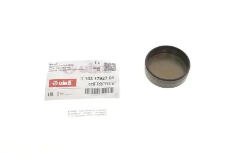 11031792701 Заглушка головки блока VW Passat (96-00,00-05),Touareg (02-10,10-) (11031792701) vika VIKA підбір по vin на Brocar