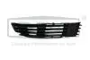 Решетка противотуманной фары правая VW Passat (3B3) (00-05) (88530608502) DPA