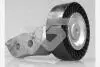 Ролик обводной AUDI A3, Q3, TT купе II, VW Jetta (05-18) (T0653) Hutchinson