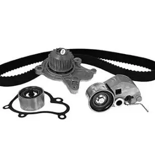 3008292 ROZRZAD KPL.Z POMPA HYUNDAI GETZ 1.5CRDI METELLI подбор по vin на Brocar