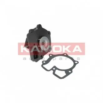 T0143 Насос охолоджувальної рідини, охолодження двигуна KAMOKA подбор по vin на Brocar