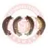 03013703582SETMS Тормозные колодки задние (180x42) RENAULT CLIO 98-, DACIA LOGAN 06-,SANDERO 08- MASTER SPORT підбір по vin на Brocar