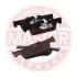 13046072982NSETMS Комплект тормозных колодок перед Dacia Logan 12-, Sandero 11- /Renault Clio 12- MASTER SPORT підбір по vin на Brocar