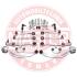 Комплект важелів підвіски VW, Audi A4, A6 (конус=16м)) 36792-SET-MS