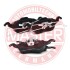 13046071212NSETMS Тормозные колодки передние (19.3mm) Ford Focus 98- MASTER SPORT підбір по vin на Brocar