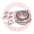Подшипник ступицы зад. BMW X5 (E70)3.0d 07.02- 6618-SET-MS