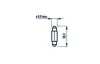 171043000 Автолампа C3W 24V 3W SV7,5 (8x28mm) Standard (без цоколя) NARVA підбір по vin на Brocar