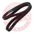 6PK1560PCSMS Ремень ручейковый 6х1560 MASTER SPORT підбір по vin на Brocar