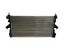 Радиатор охлаждения двигателя Citroen Jumper Peugeot Boxer 2.0D/2.2D 07.15- FT55080