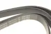 FB6PK2413 Ремінь генератора Audi A4/A5/A6 3.0 TDI/3.2 FSI 05-/ MB E-class (W124/S124) 2.8-3.0T 93-96 (6PK2413) INA підбір по vin на Brocar