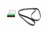 FB6PK1905 Ремень генератора Opel Vectra B 2.2DTI 00-02/Audi 100/80/A6/A8 2.6/2.8 91-96 INA підбір по vin на Brocar