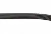 FB6PK1905 Ремень генератора Opel Vectra B 2.2DTI 00-02/Audi 100/80/A6/A8 2.6/2.8 91-96 INA підбір по vin на Brocar