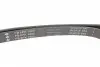 FB6PK1905 Ремень генератора Opel Vectra B 2.2DTI 00-02/Audi 100/80/A6/A8 2.6/2.8 91-96 INA підбір по vin на Brocar
