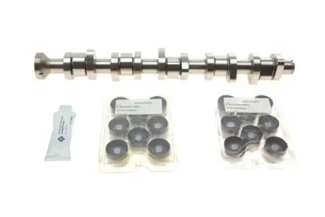 428004030 Розподільний вал VW T5 2.5 TDI 03-09, 96/120/128kw, (BNZ,AXD,BPC,AXE,BLJ) INA підбір по vin на Brocar