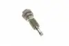 559014510 Комплект цепи ГРМ MB S-class (W220/W221/W222) 98- (Z=164) (M275/M279) INA підбір по vin на Brocar