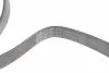 529044810 Комплект ременя генератора Opel Insignia 2.0 CDTI 14- (6PK1830) INA підбір по vin на Brocar