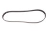 PASEK WIELOROWKOWY 6PK1027 ELAST FORD 6PK1027SF