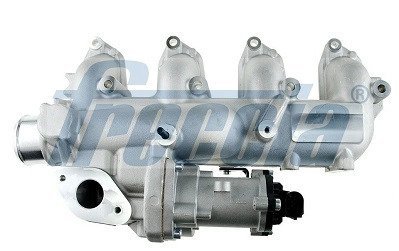 EGR12210 Клапан рециркуляції відпрацьованих газів FORD TRANSIT CONNECT 1.8 Di \'07-\'13 FRECCIA підбір по vin на Brocar