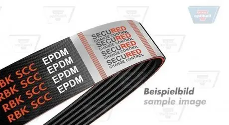 6PK1695SCC Ремінь П-клиновий 6PK1695 Optibelt SCC OPTIBELT підбір по vin на Brocar