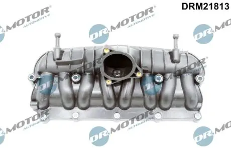 DRM21813 Модуль впускної труби DR.MOTOR підбір по vin на Brocar