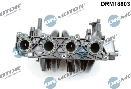 DRM18803 KOLEKTOR SS. RENAULT KANGOO/MEGANE 1,4 DR.MOTOR подбор по vin на Brocar