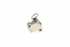 559103340 Комплект ланцюга ГРМ Citroen C1/Peugeot 107 1.0i 05-, CFB (1KR) CFA (384F) INA підбір по vin на Brocar