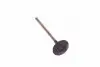 Клапан выпускной Toyota Camry 01-06 RAV4 Avensis Lexus (выр-во Toyota) 1371528010