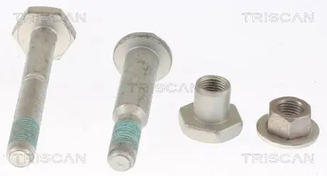 850025403 ZESTAW ŚRUB WAHACZA RENAULT SCENIC IV 1,2-1,7 16- TRISCAN подбор по vin на Brocar