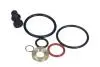 700155 ZESTAW USZCZELEK POMPOWTRYSKIWACZY VW DUŻY MAXGEAR підбір по vin на Brocar
