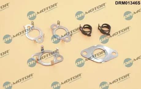 DRM01346S Комплект прокладок клапану рециркуляції DR.MOTOR підбір по vin на Brocar