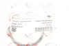 RWS2845 Прокладка коллектора впускного Renault Kangoo/Laguna II/Trafic 1.4-2.0 01- ROTWEISS підбір по vin на Brocar