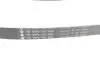 529035810 Комплект ремня генератора Peugeot 208/2008 1.6BlueHDi 13- (6PK1005) INA підбір по vin на Brocar